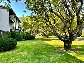 Lovely Condo Located in Sought-After Heywood Heights in Stamford, CT